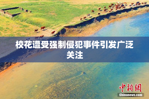 校花遭受强制侵犯事件引发广泛关注