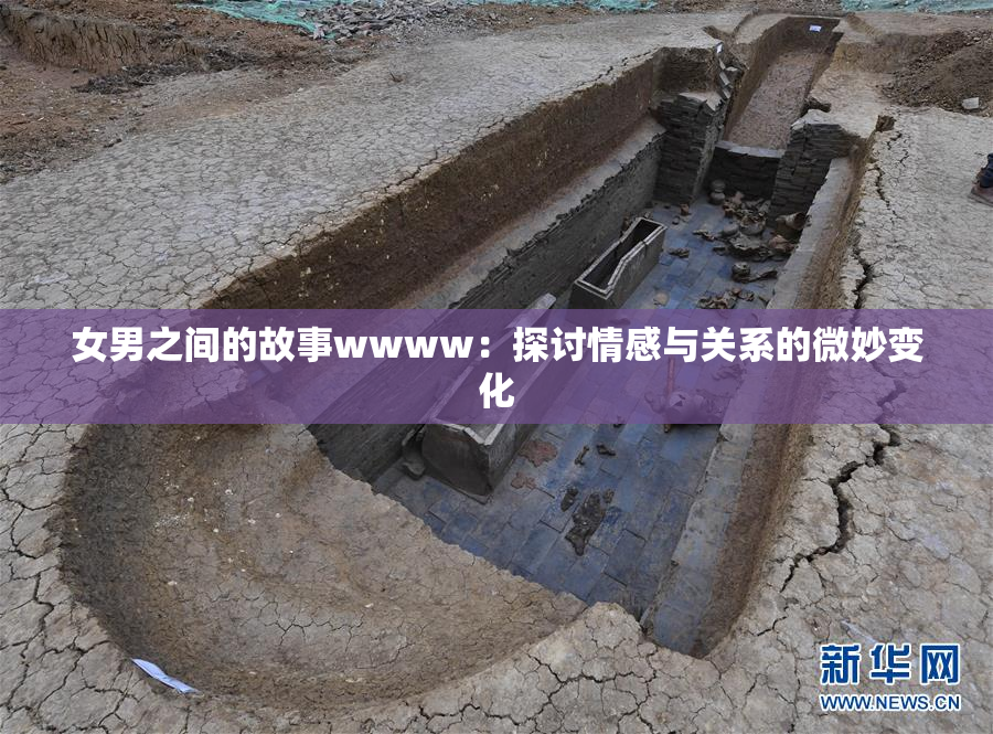 女男之间的故事wwww：探讨情感与关系的微妙变化