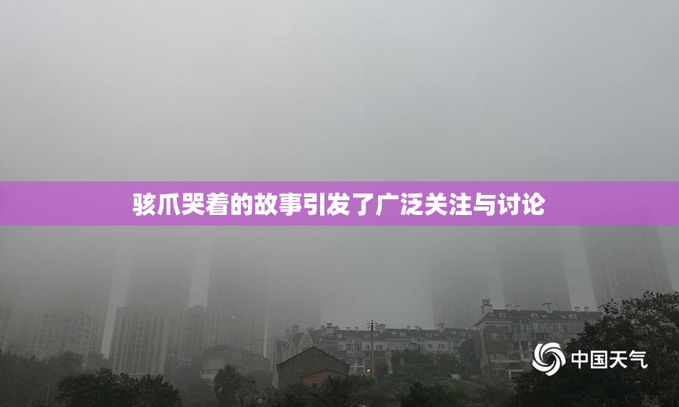 骇爪哭着的故事引发了广泛关注与讨论